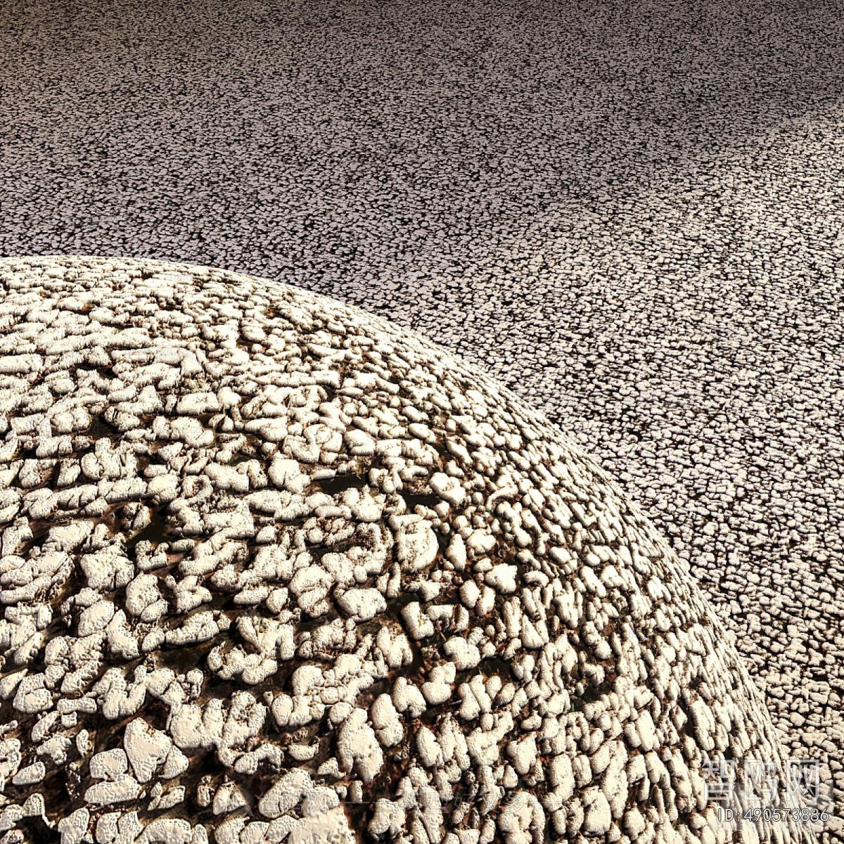 Modern Clothes, Bags And Shoes