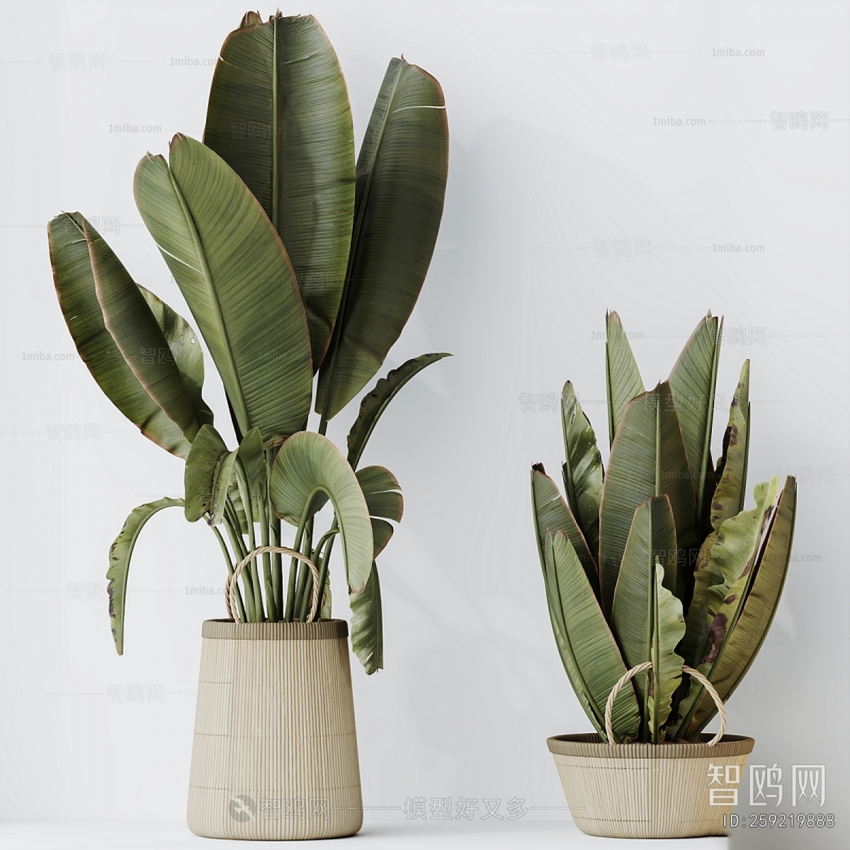 Modern Ground Green Plant Potted Plants