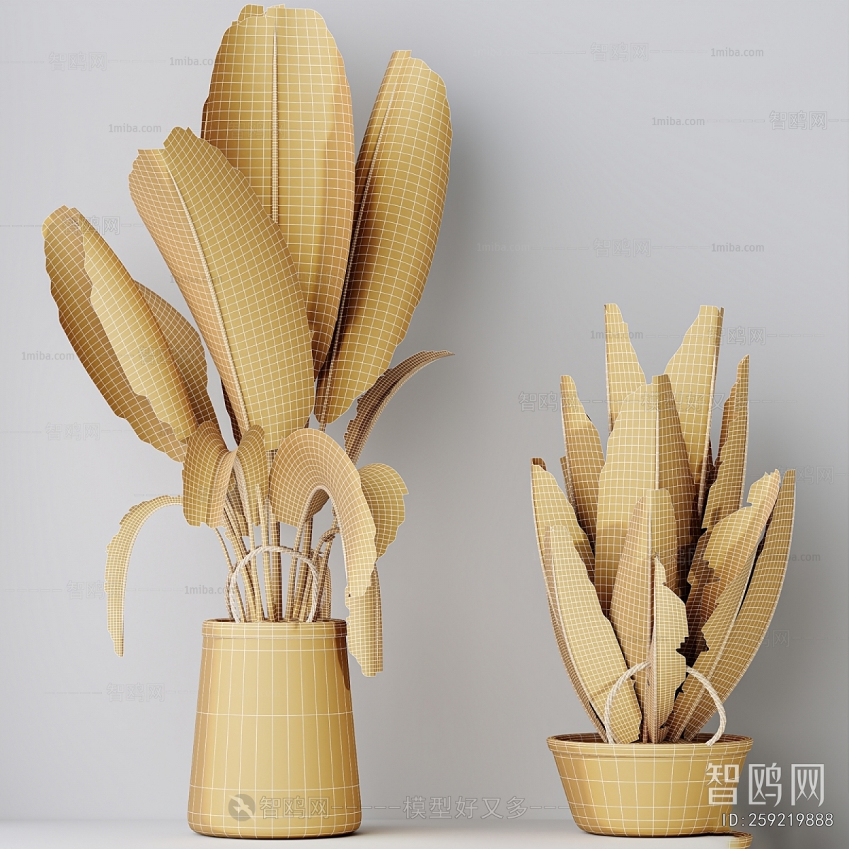 Modern Ground Green Plant Potted Plants