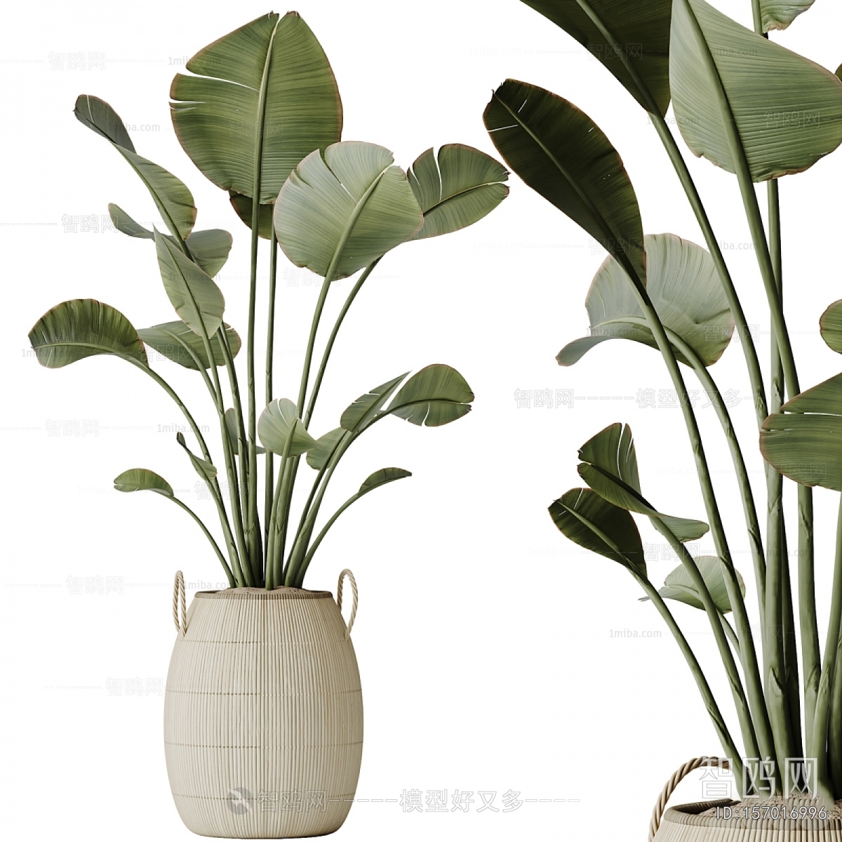 Modern Ground Green Plant Potted Plants