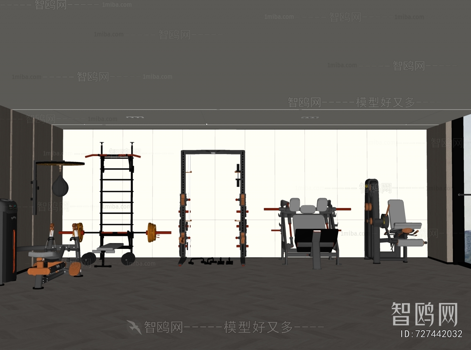 Modern Home Fitness Room