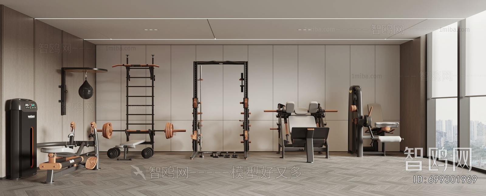 Modern Home Fitness Room