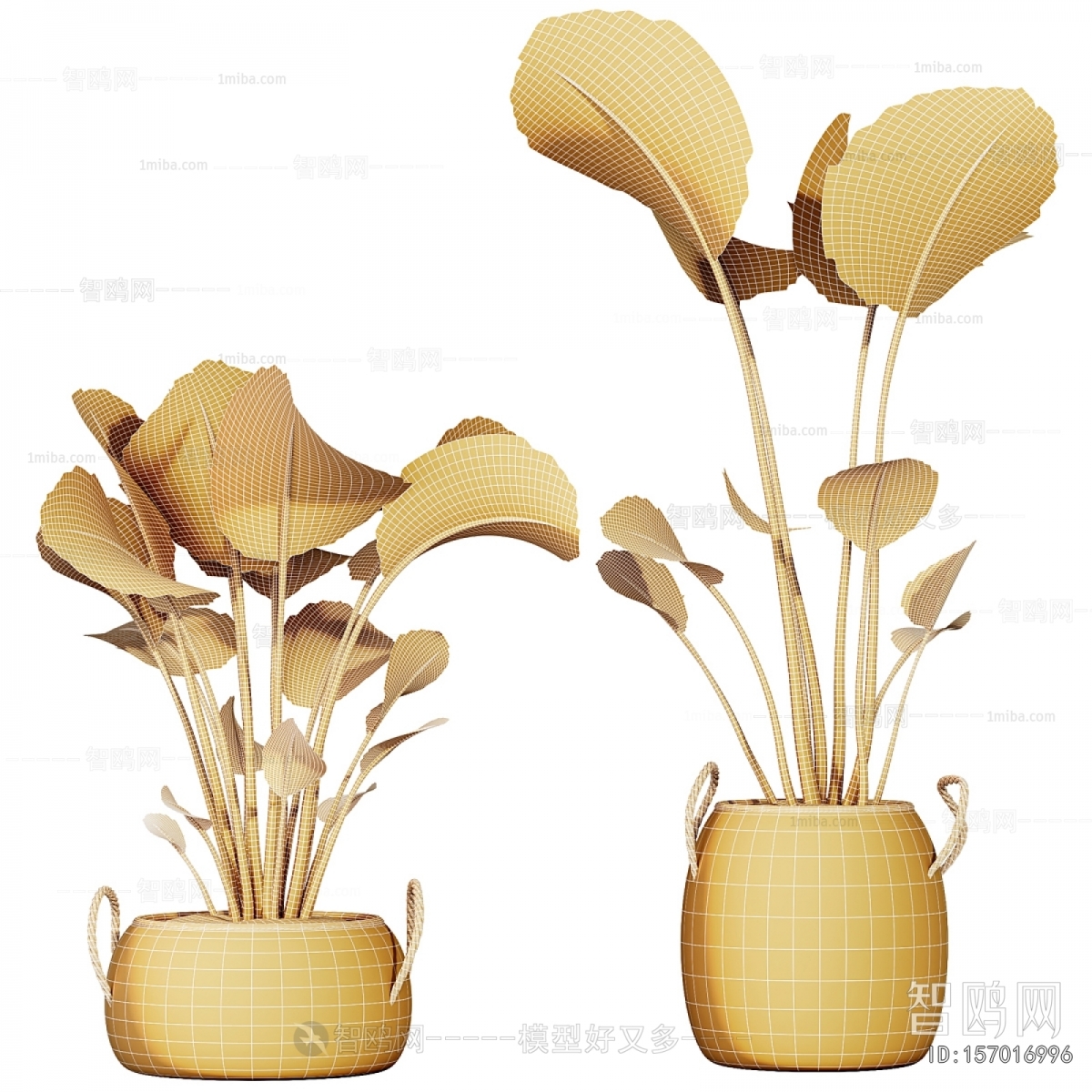 Modern Ground Green Plant Potted Plants