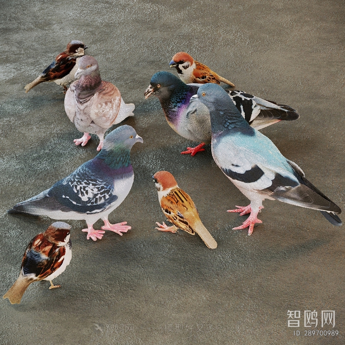 Modern Flying Animals