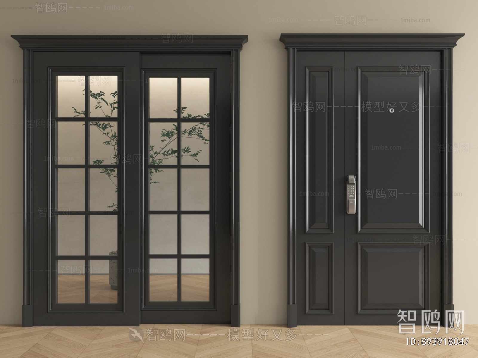Modern Entrance Door