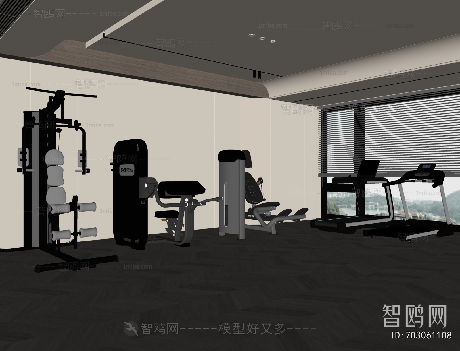 Modern Home Fitness Room