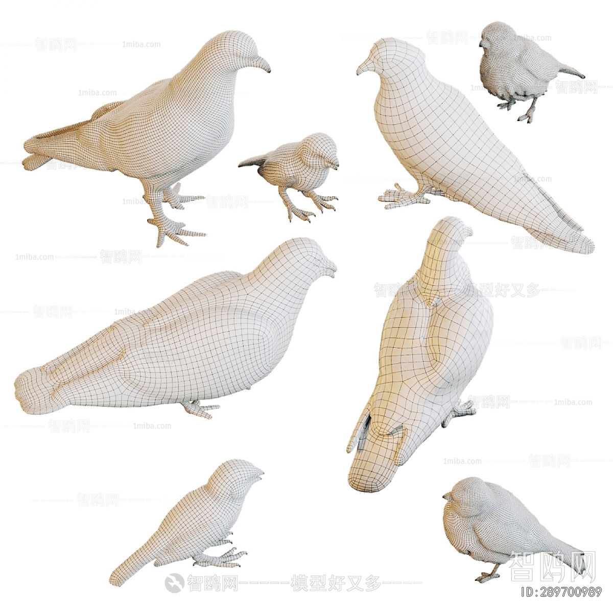 Modern Flying Animals