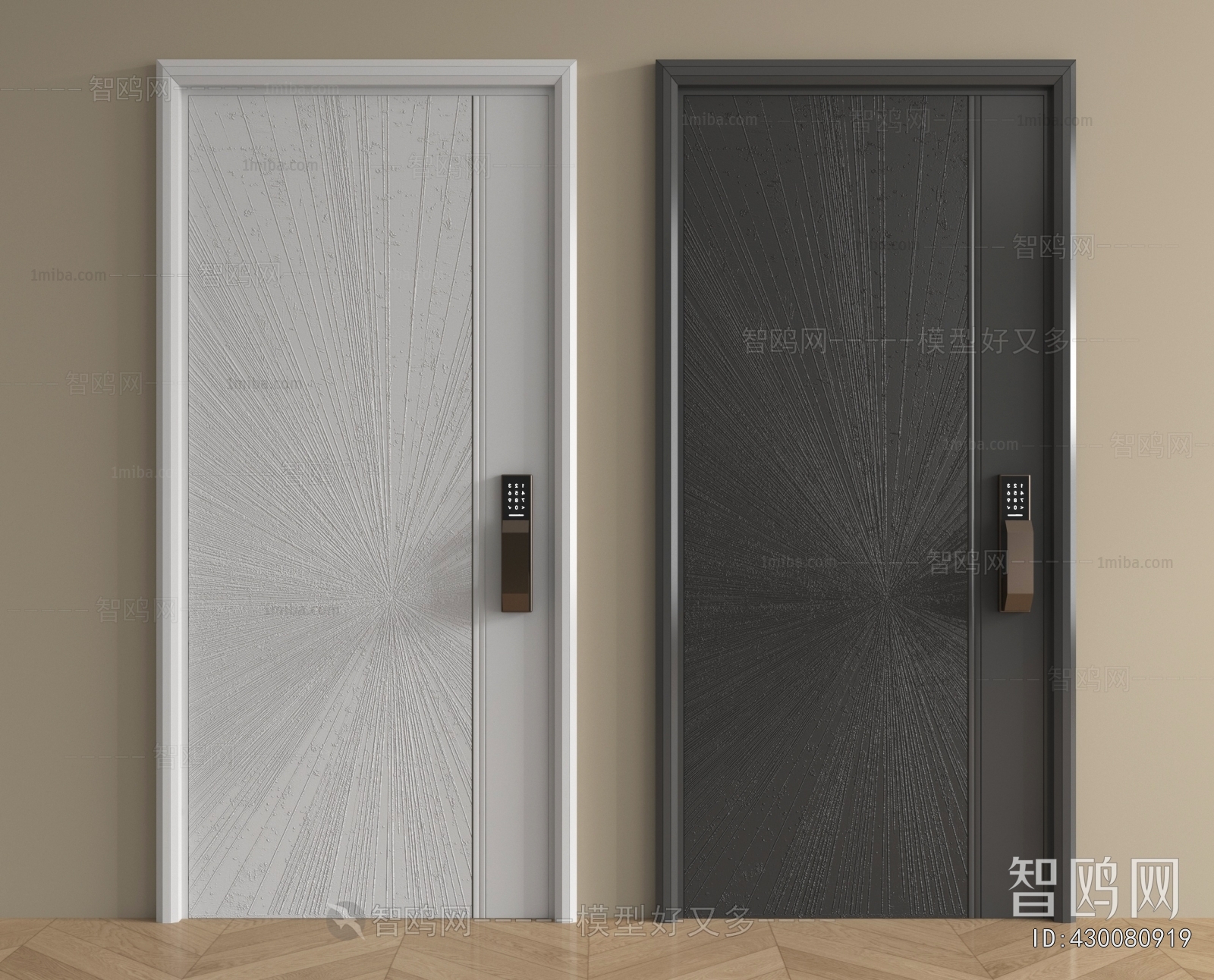 Modern Entrance Door