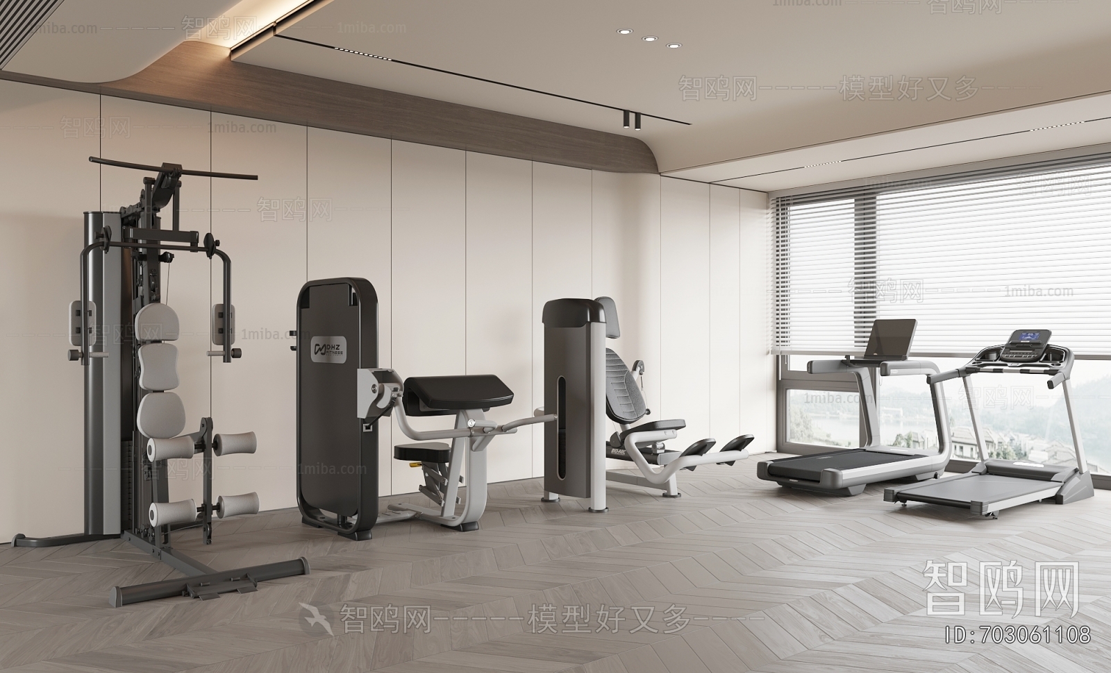 Modern Home Fitness Room