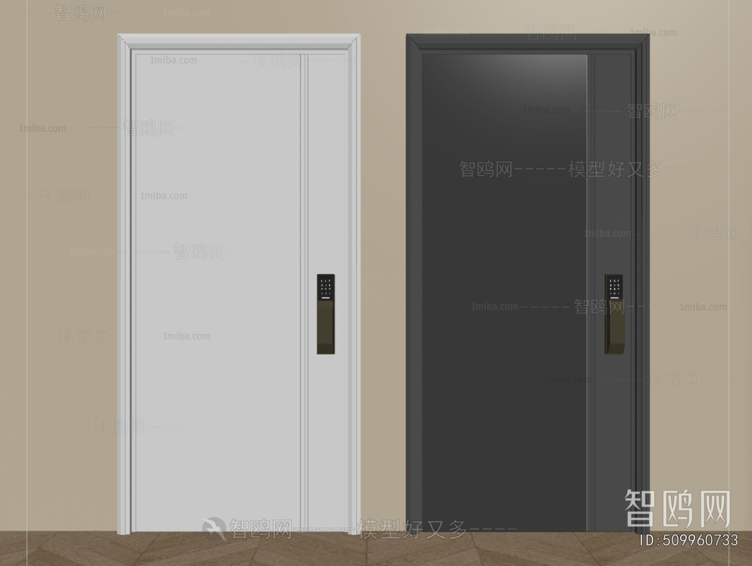 Modern Entrance Door
