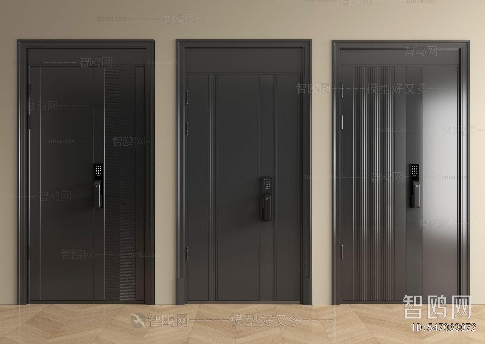 Modern Entrance Door