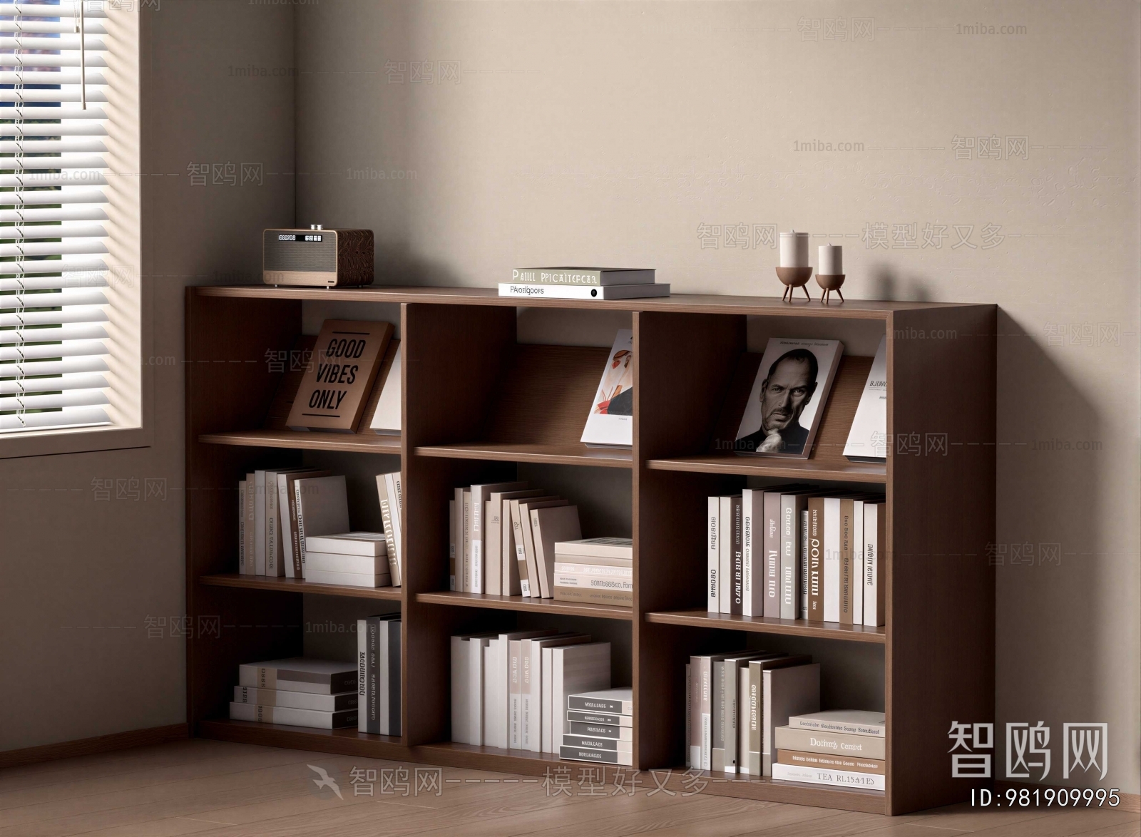 Modern Bookcase