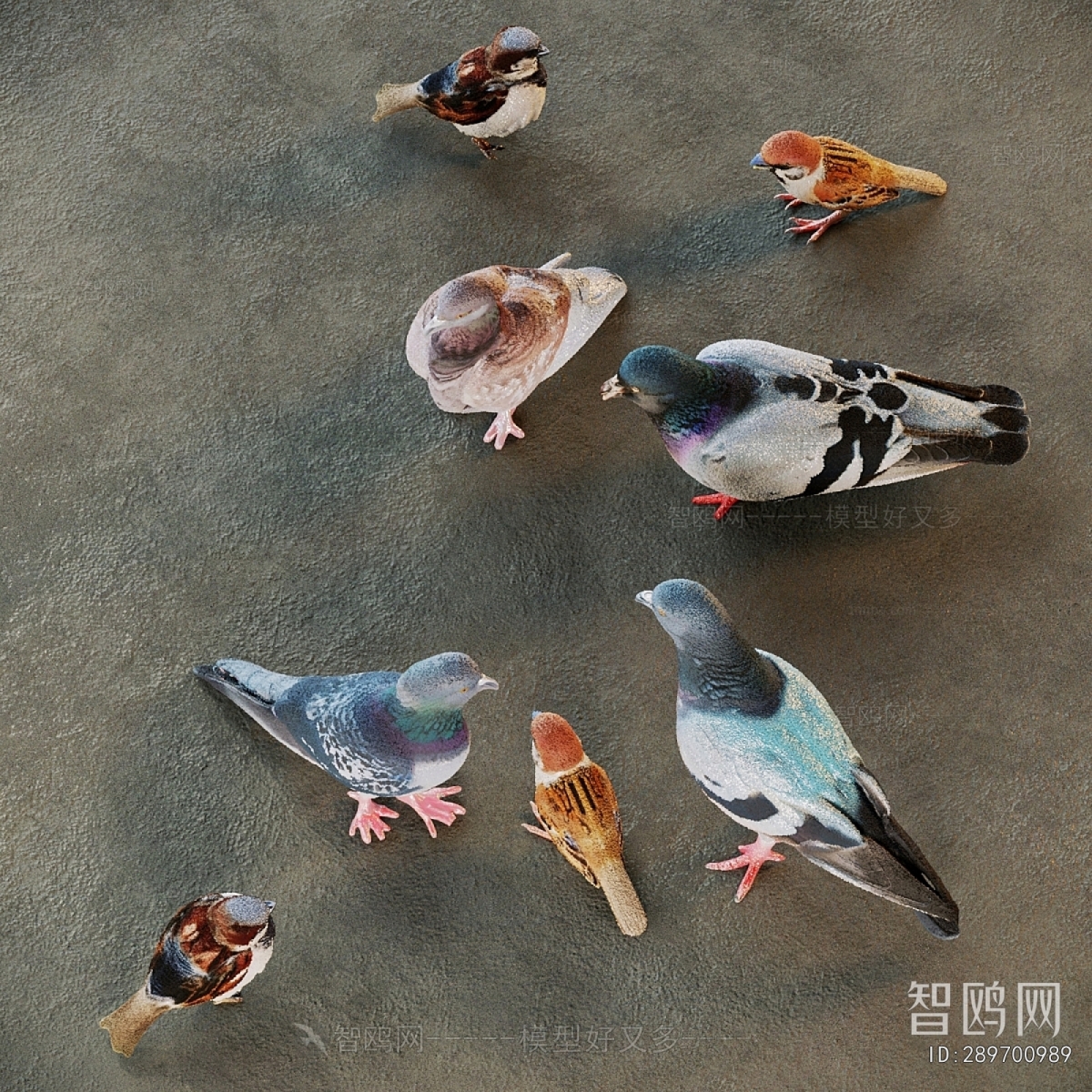 Modern Flying Animals