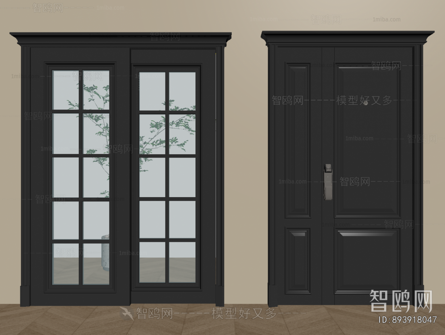 Modern Entrance Door