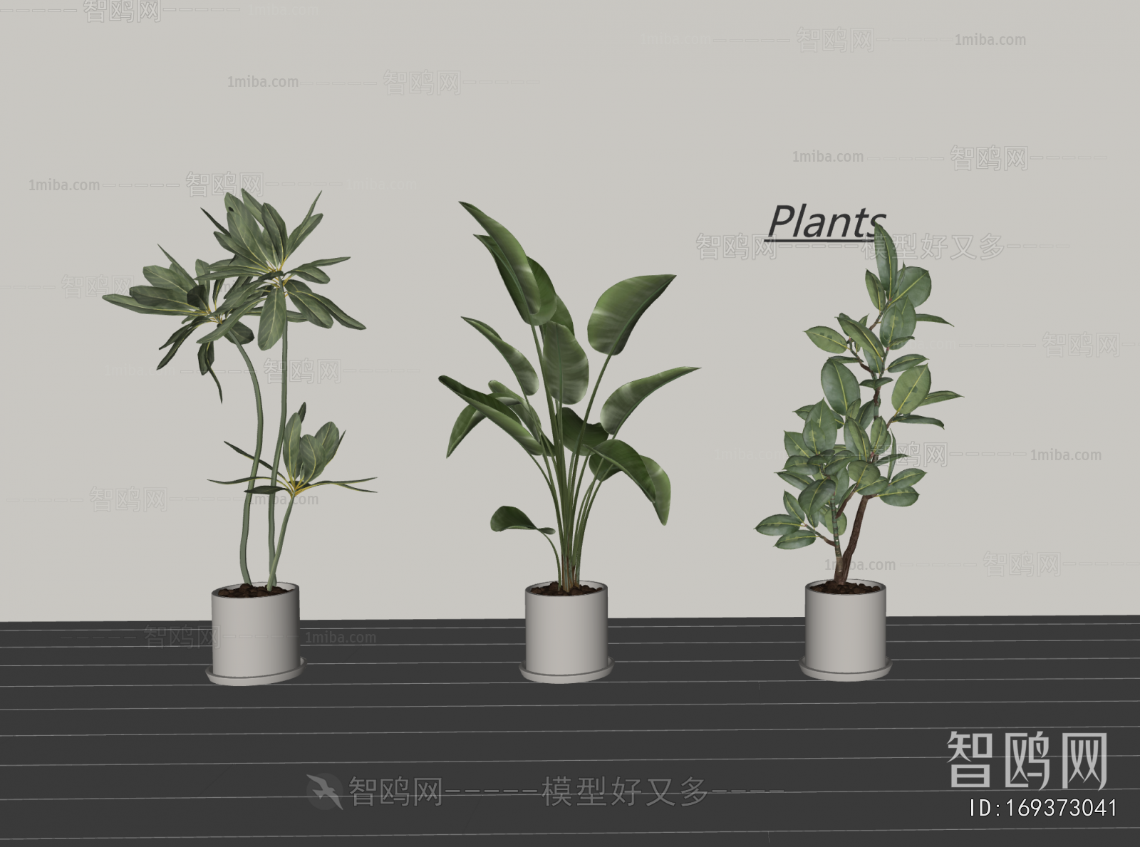 Modern Ground Green Plant Potted Plants