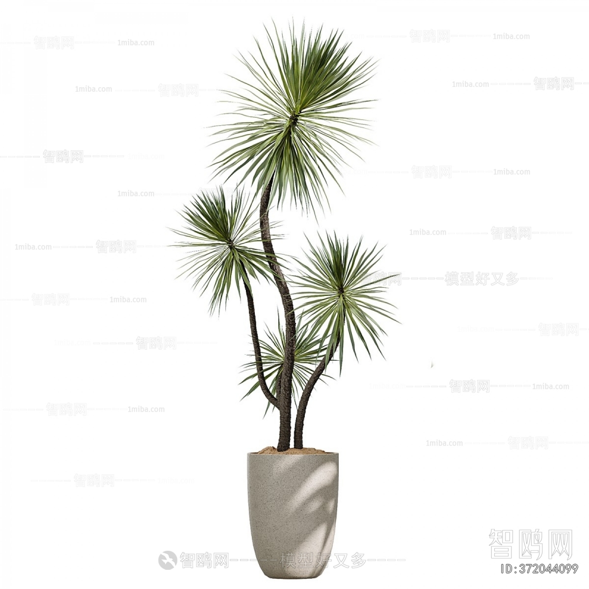 Modern Ground Green Plant Potted Plants