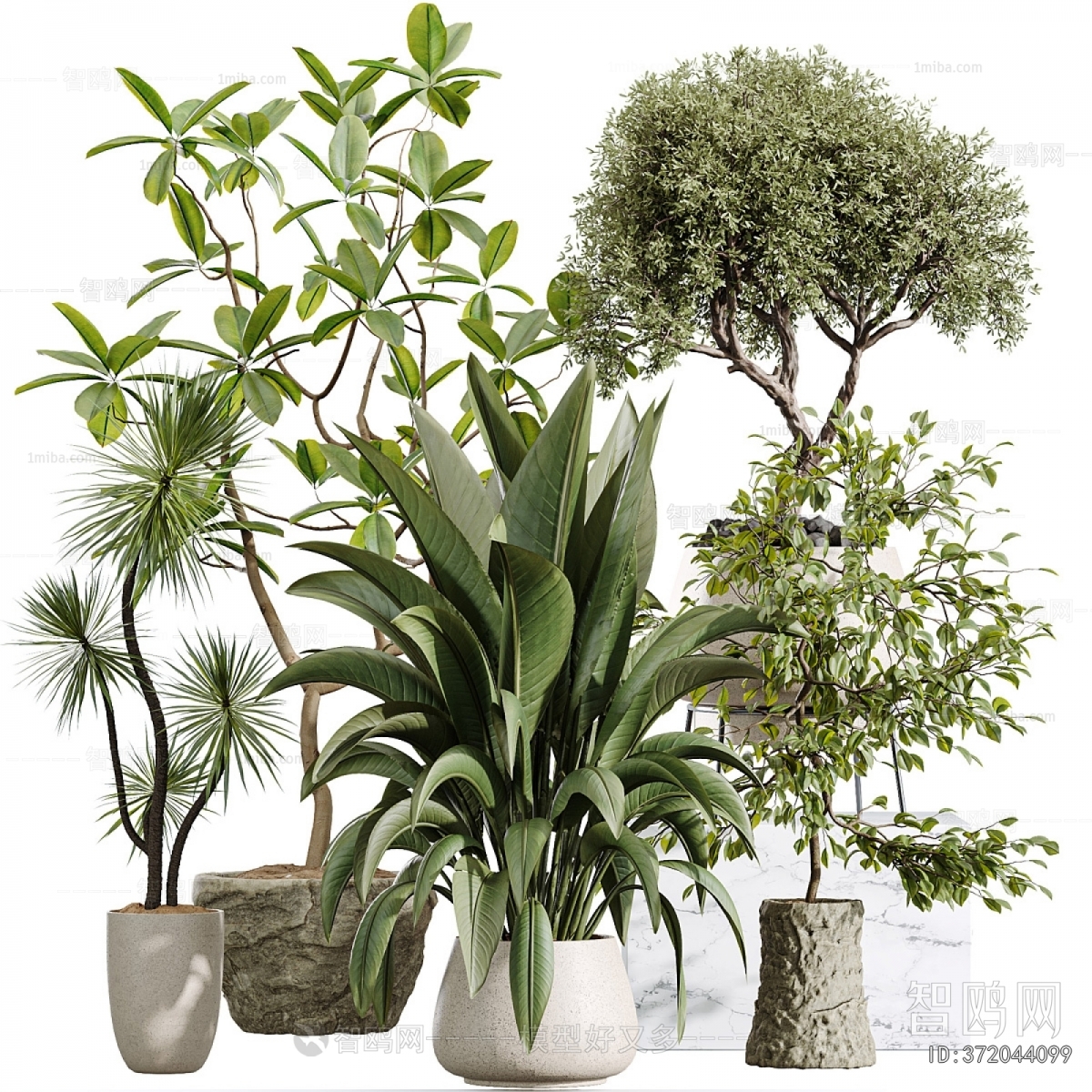 Modern Ground Green Plant Potted Plants