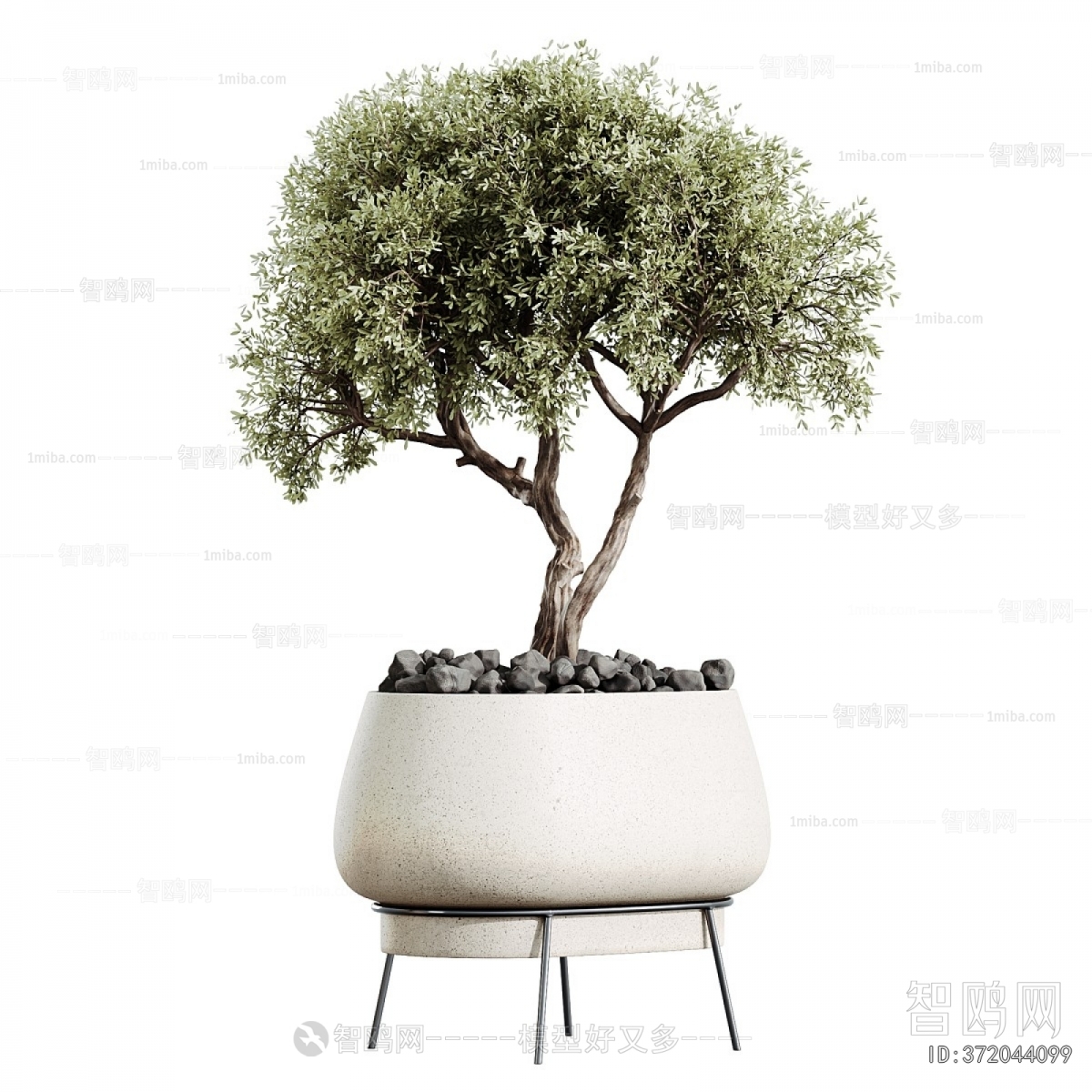 Modern Ground Green Plant Potted Plants
