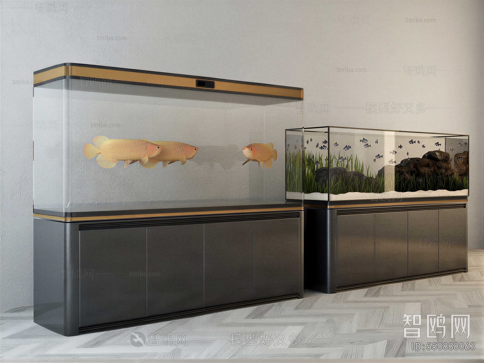 Modern Fish Tank