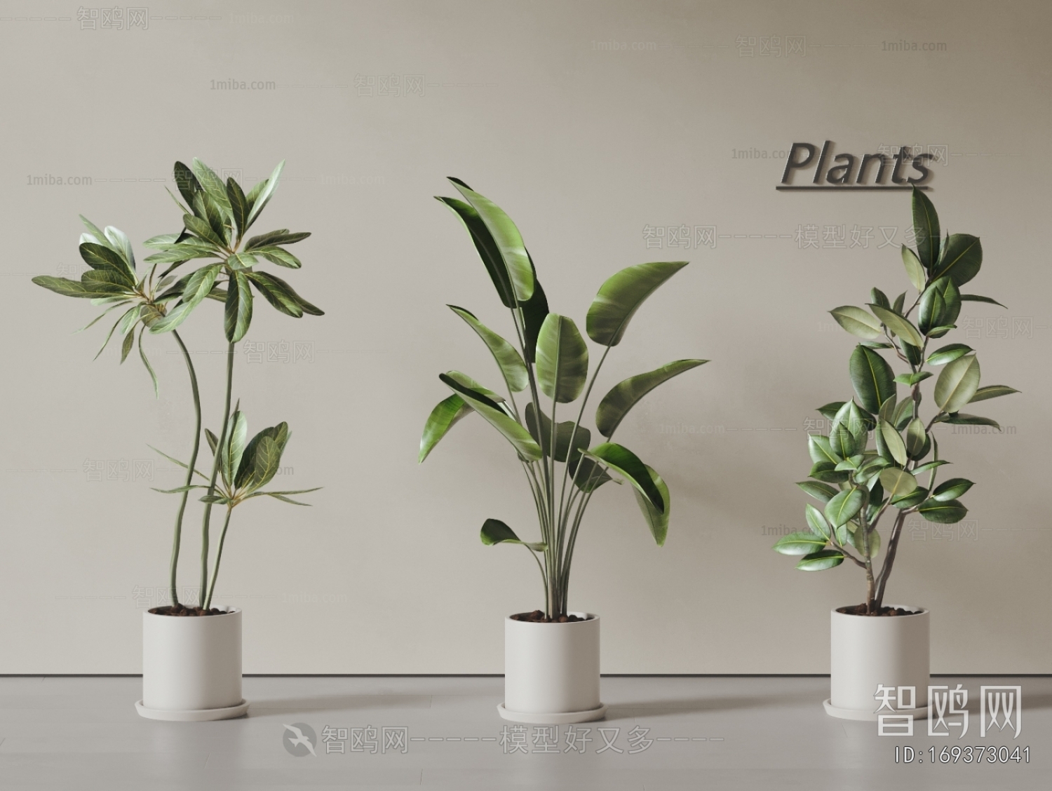 Modern Ground Green Plant Potted Plants