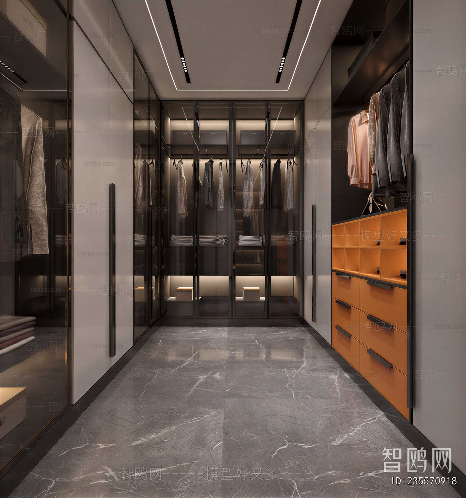 Modern Clothes Storage Area