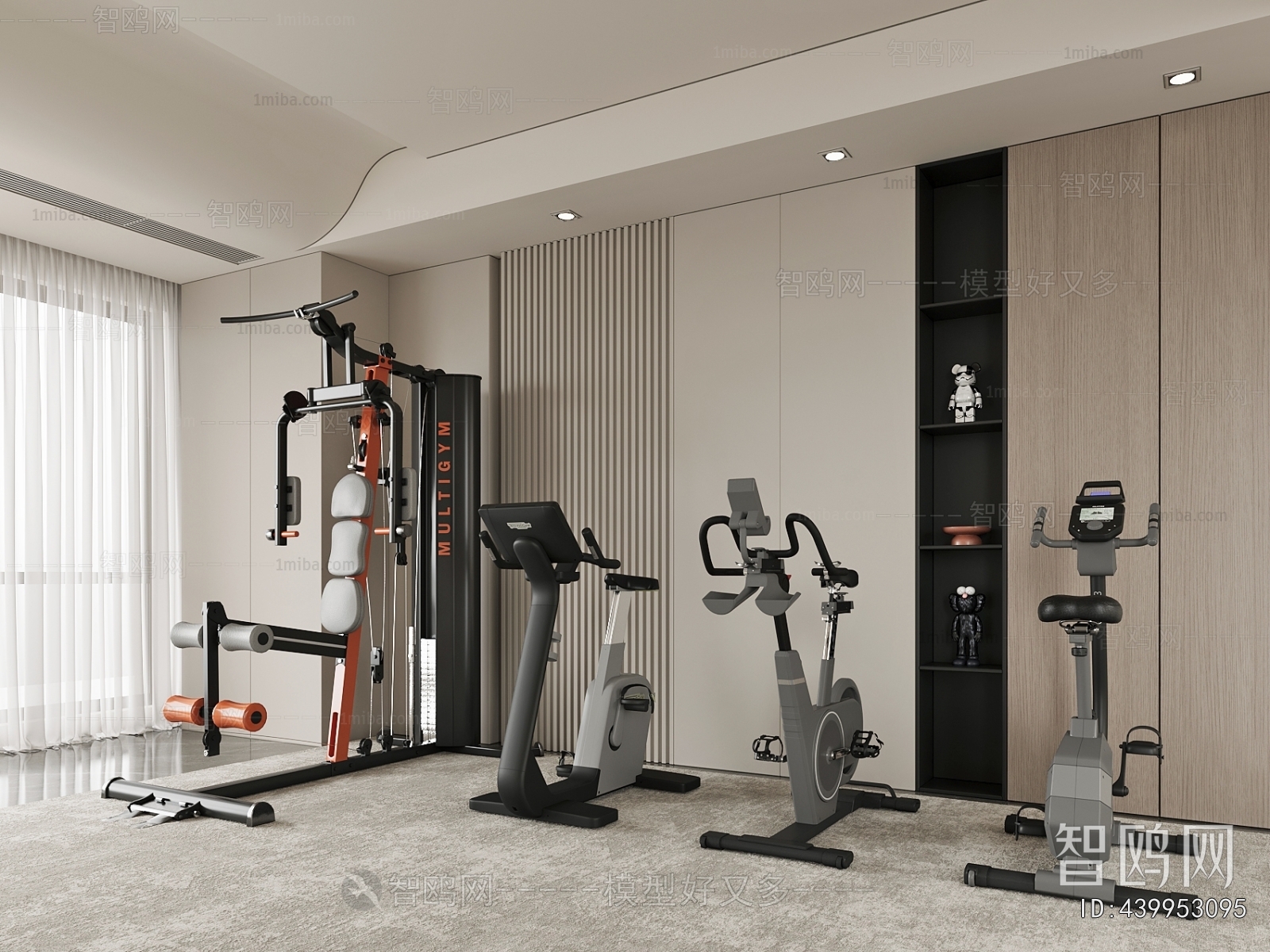 Modern Home Fitness Room