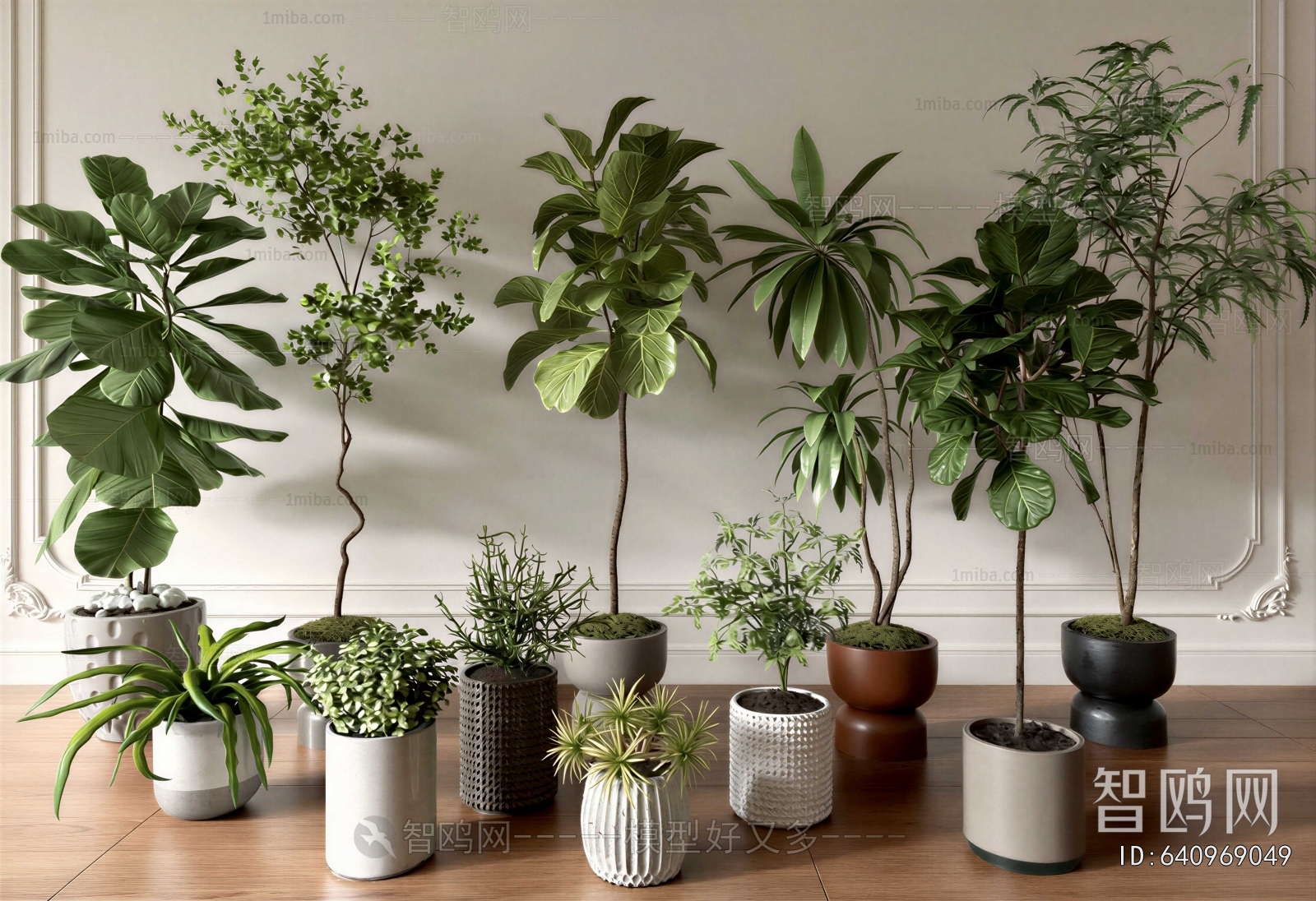 Modern Ground Green Plant Potted Plants