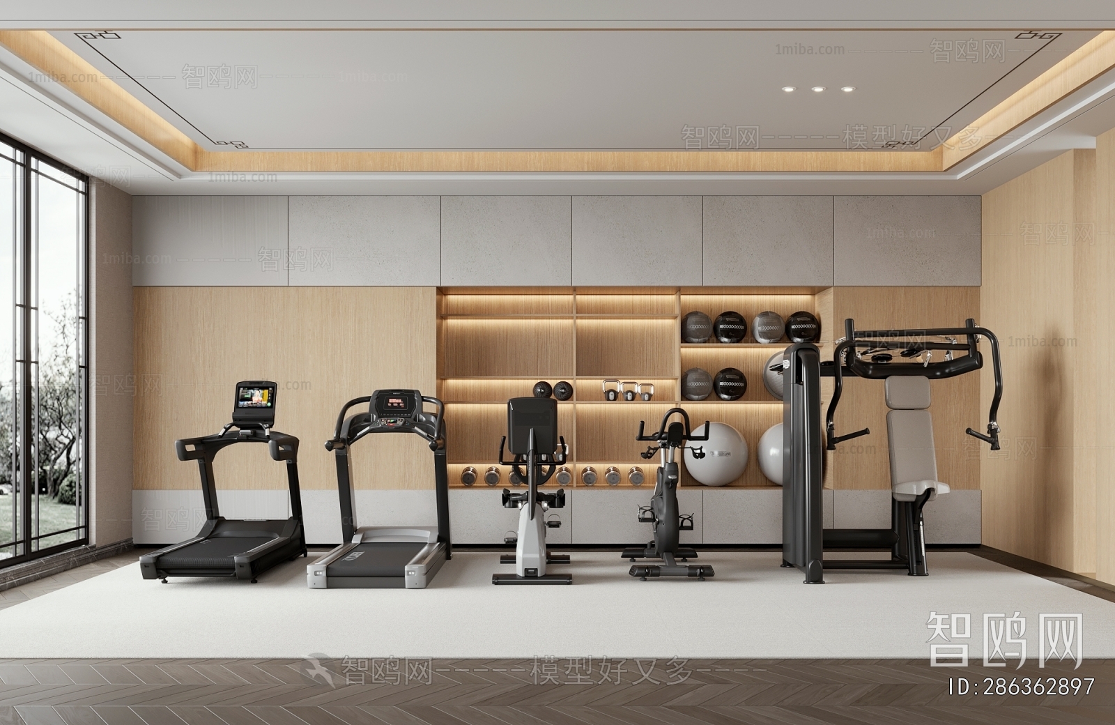 Modern Home Fitness Room