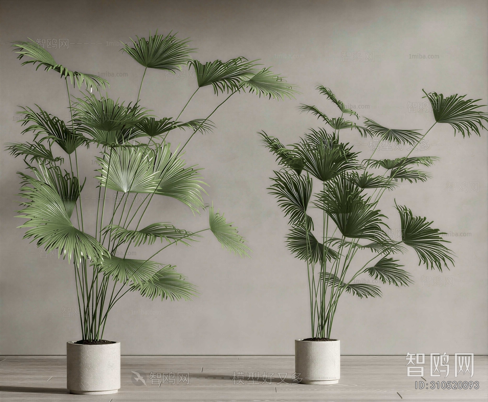 Modern Ground Green Plant Potted Plants