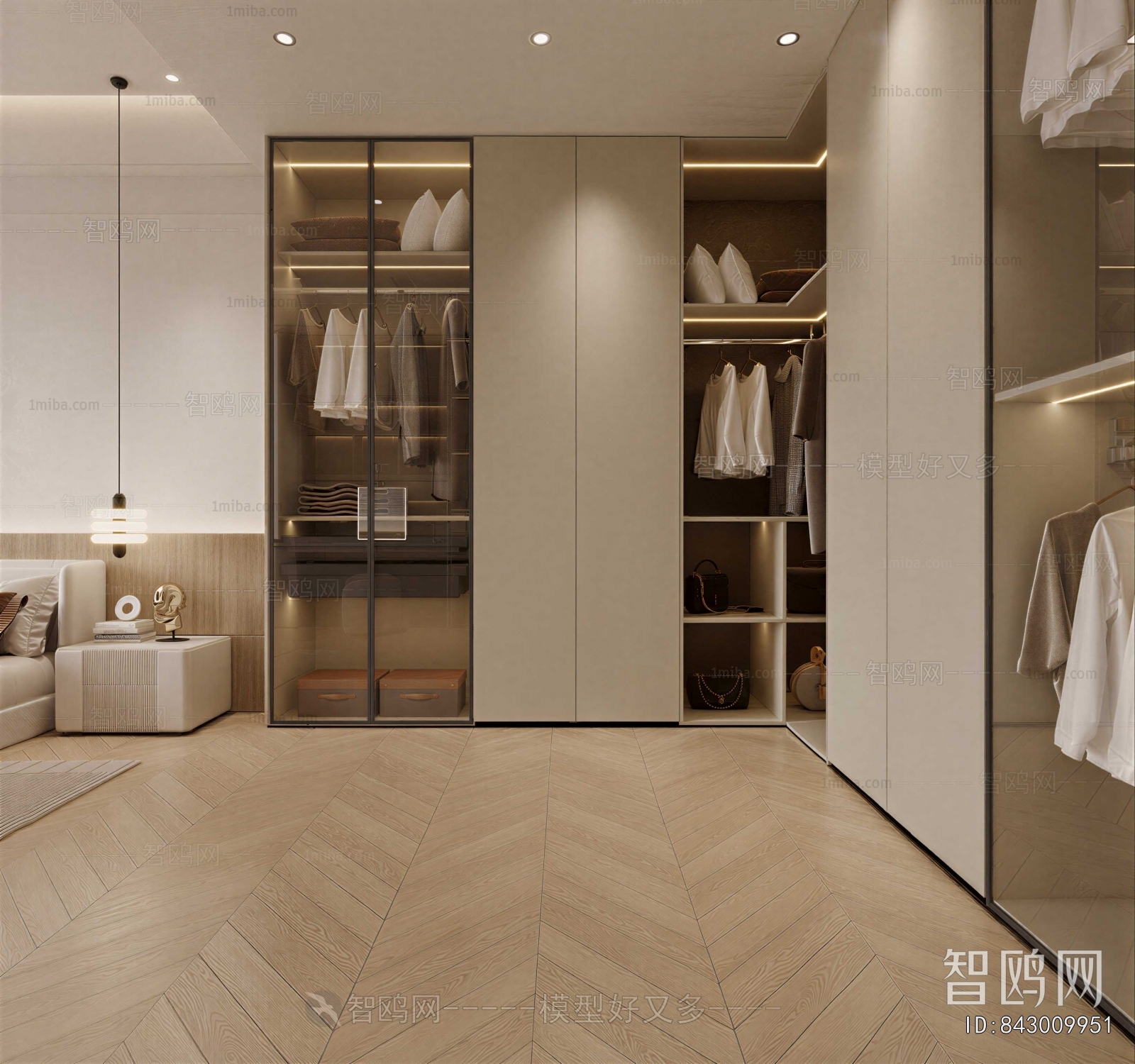 Modern Clothes Storage Area