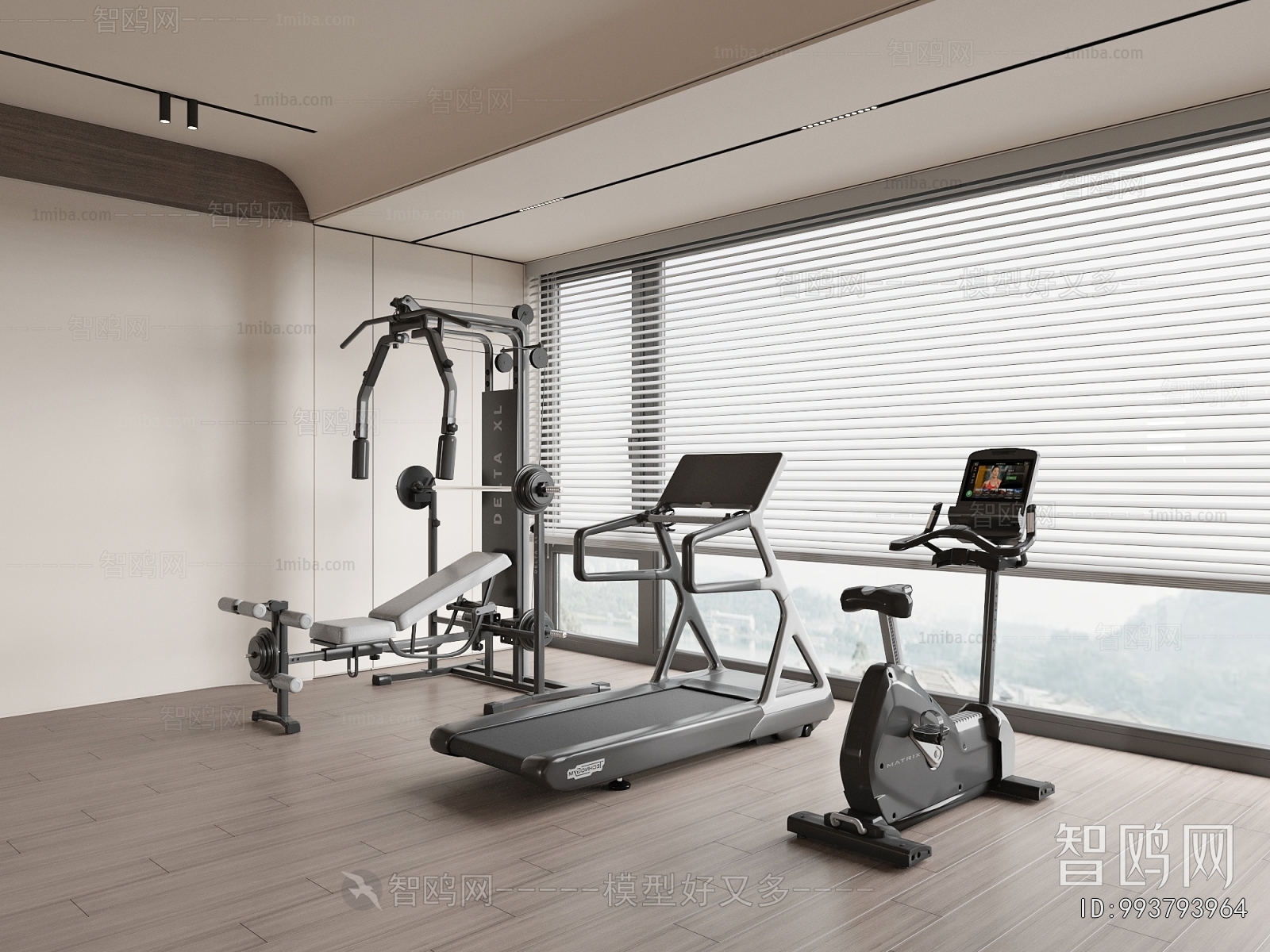 Modern Home Fitness Room