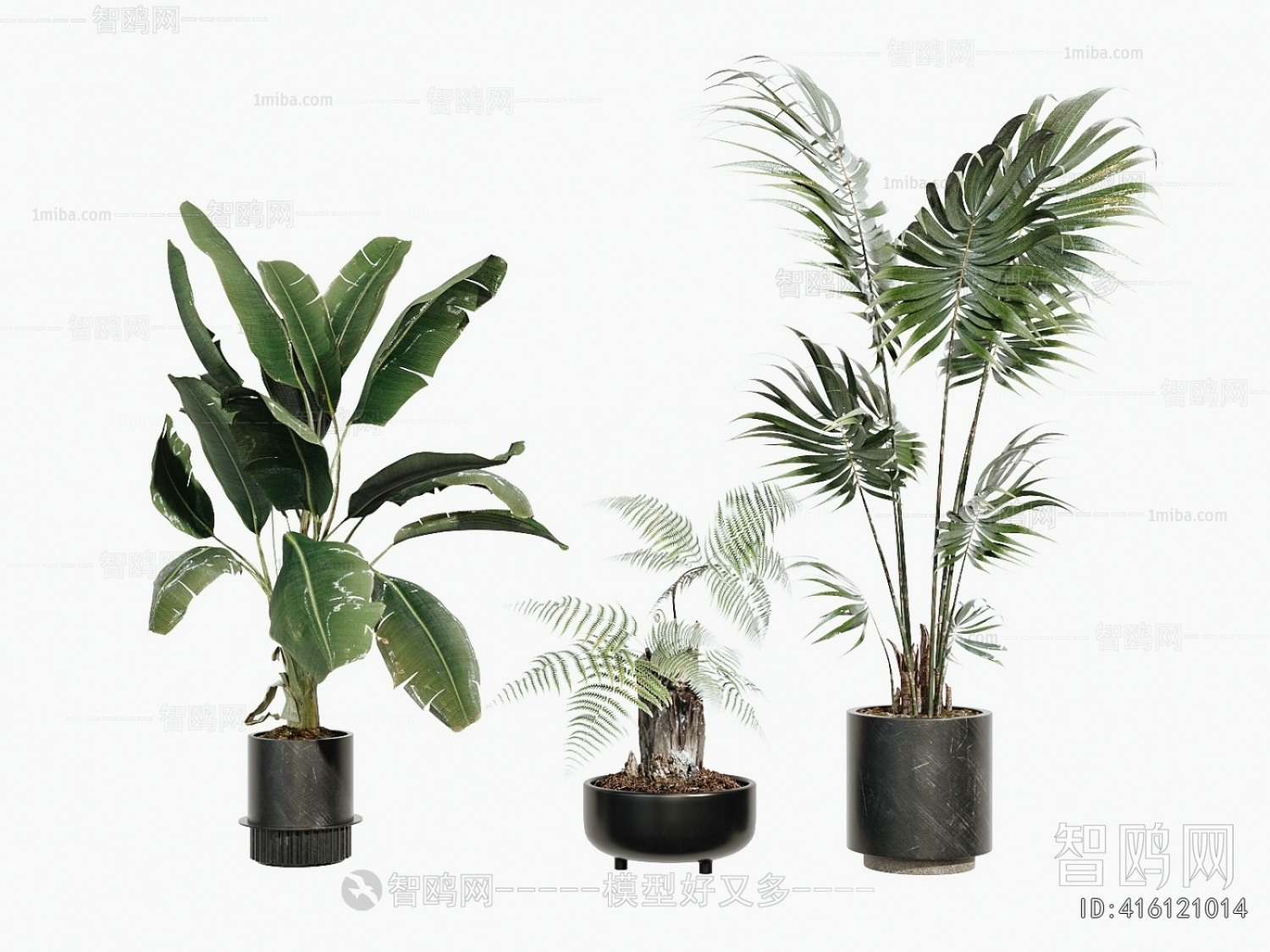 Modern Ground Green Plant Potted Plants