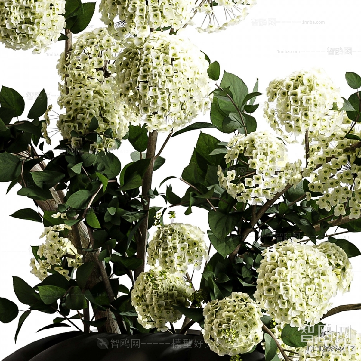 Modern Flower Arrangement