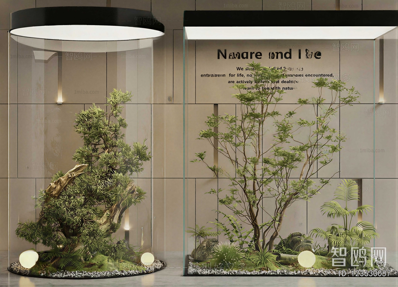 Modern Plant Landscaping