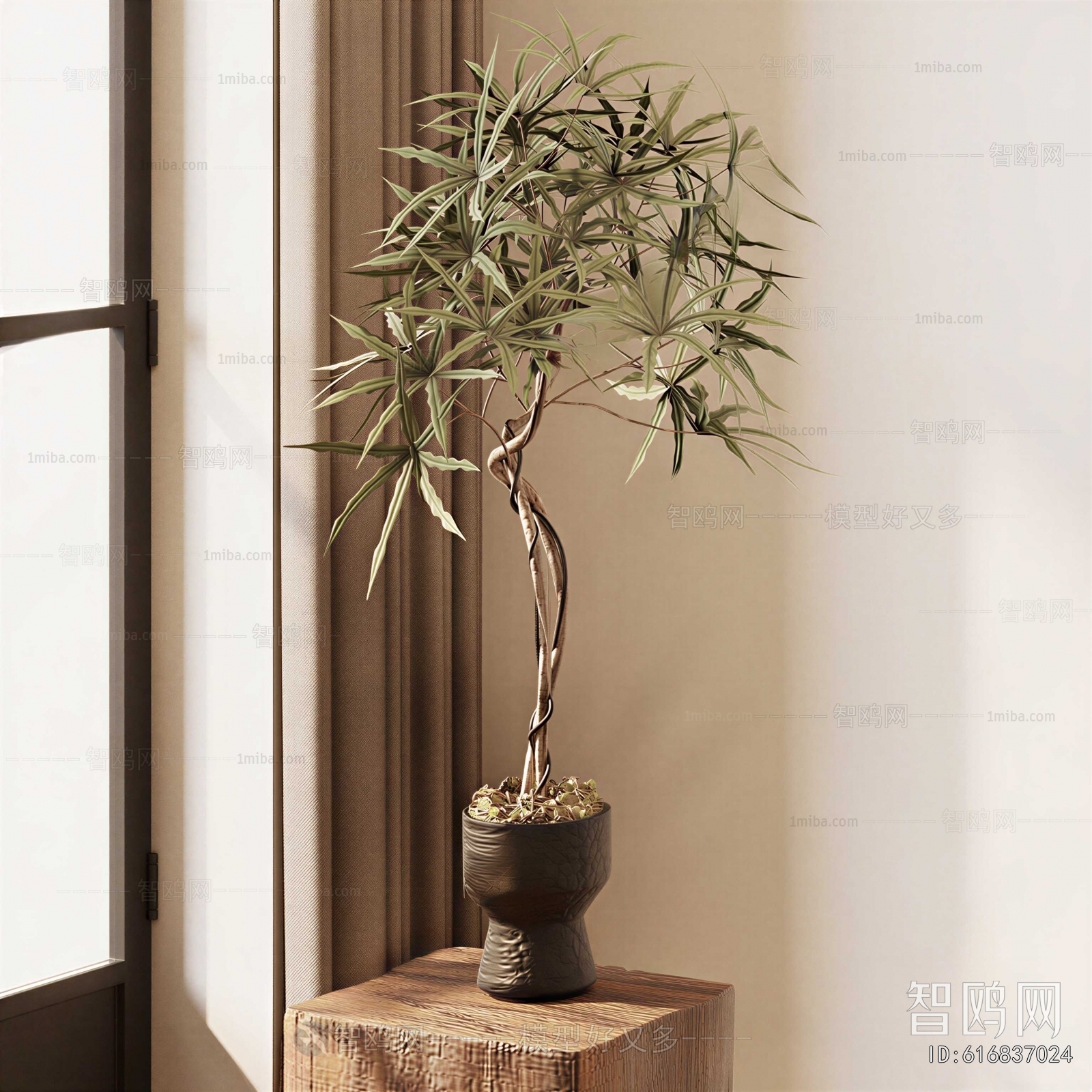 Modern Potted Green Plant