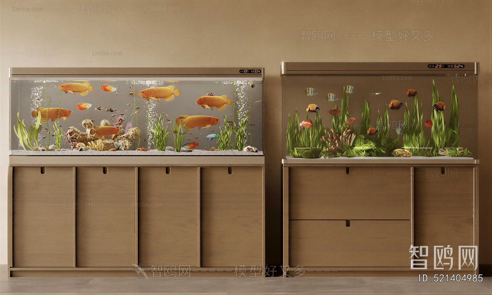 Modern Fish Tank