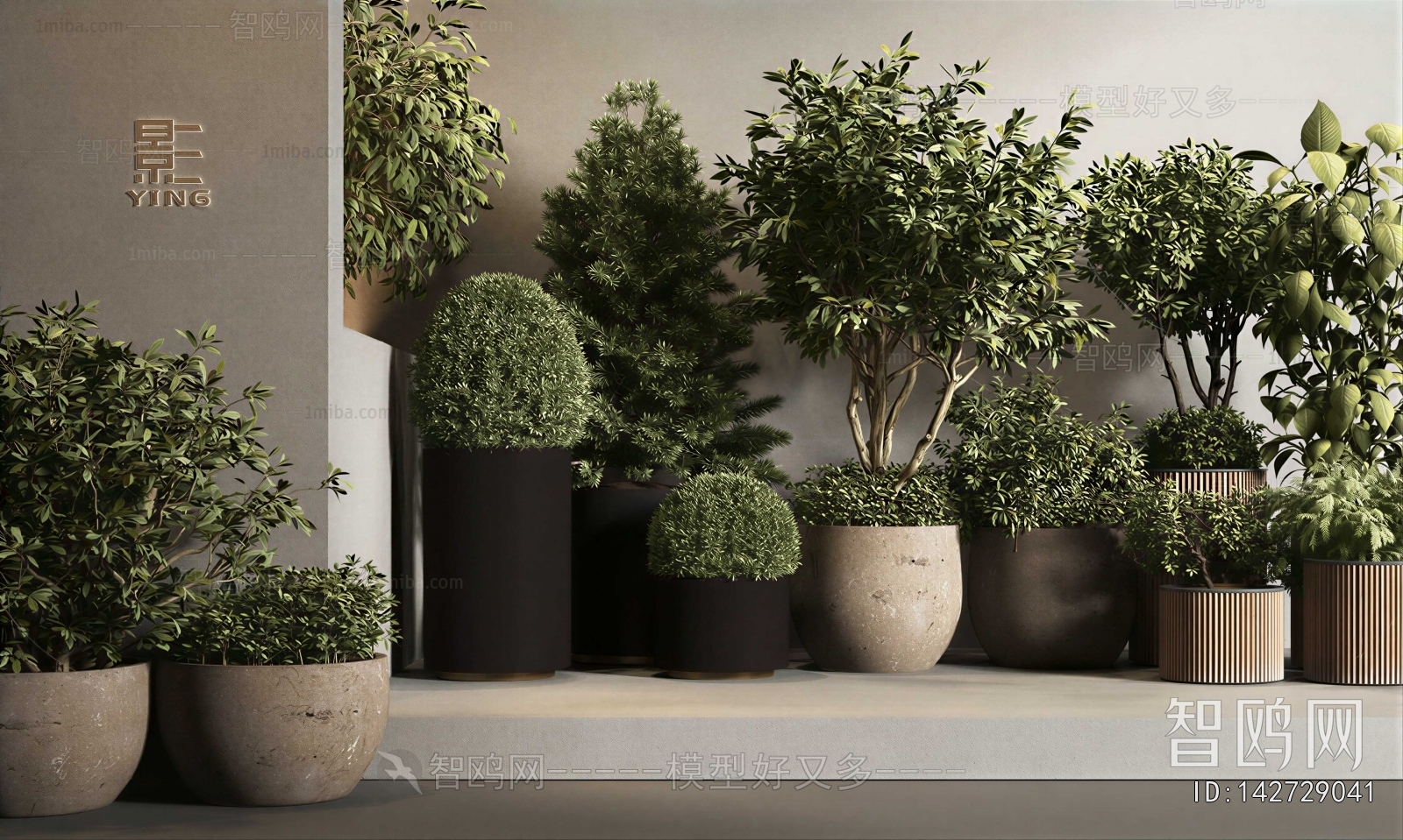 Modern Ground Green Plant Potted Plants