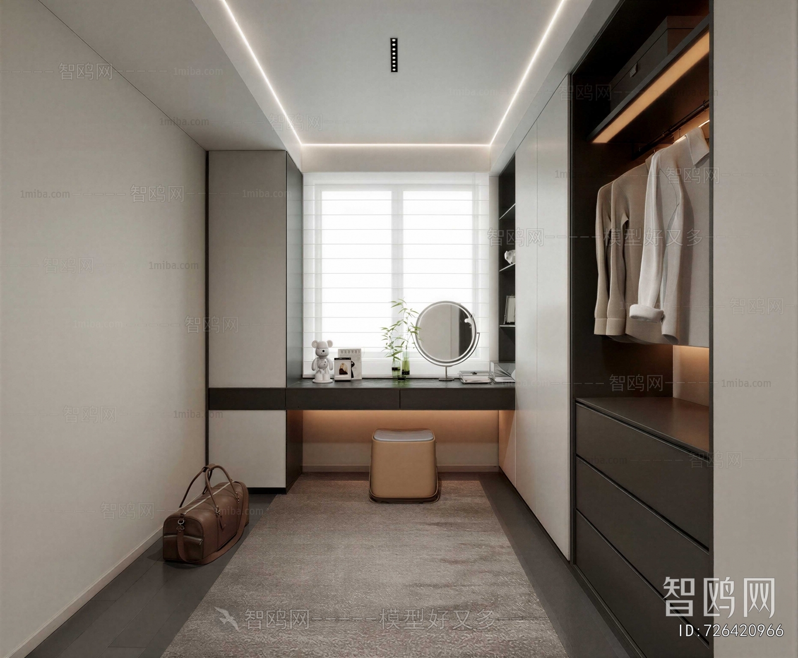 Modern Clothes Storage Area