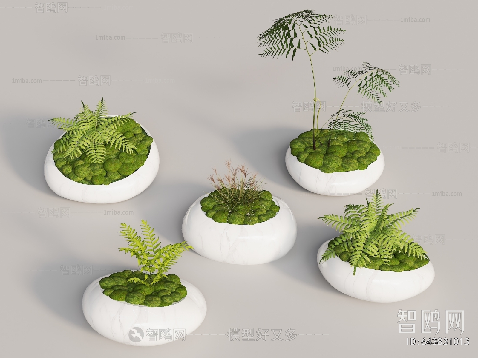 Modern Bonsai