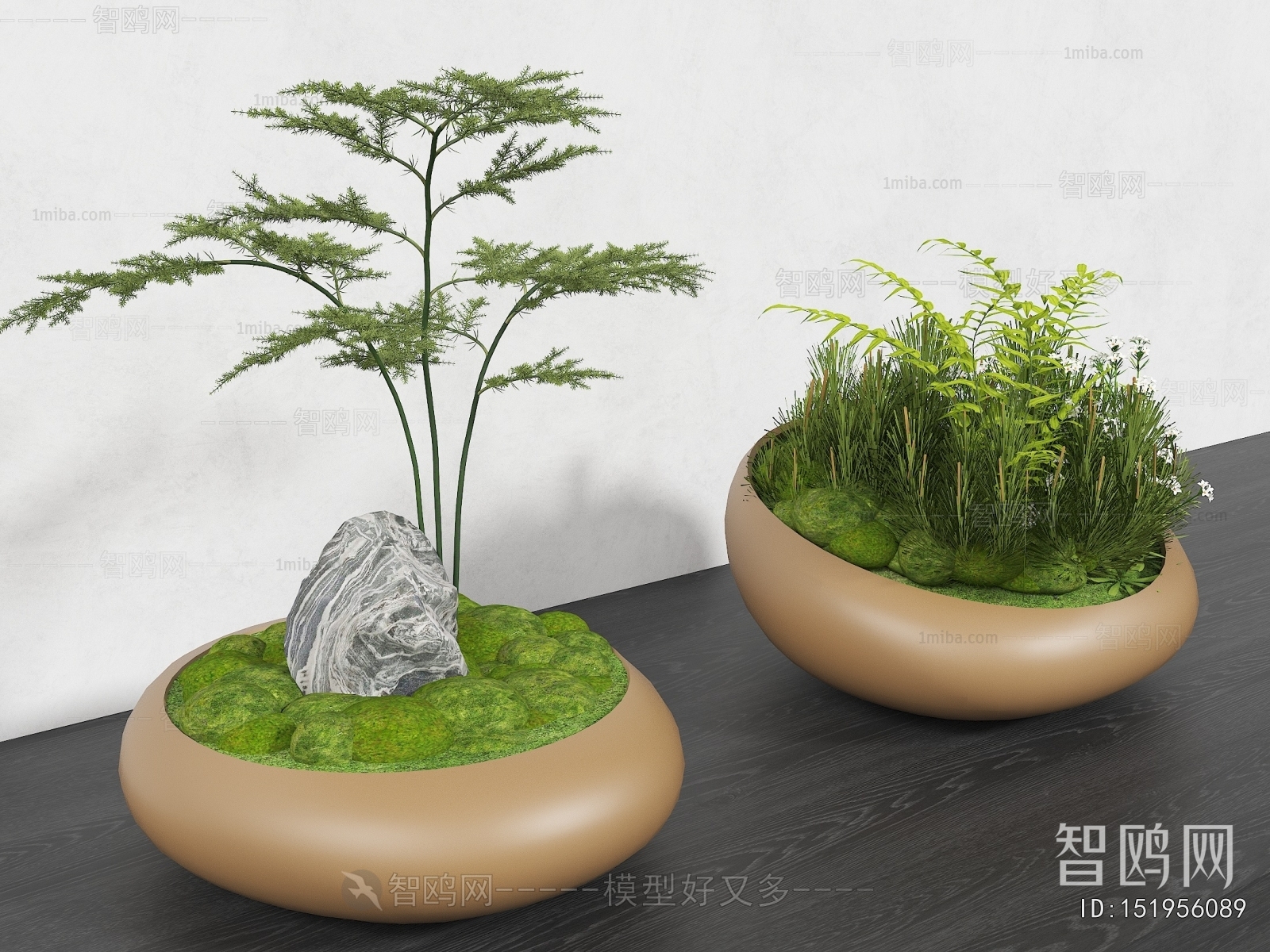 Modern Bonsai