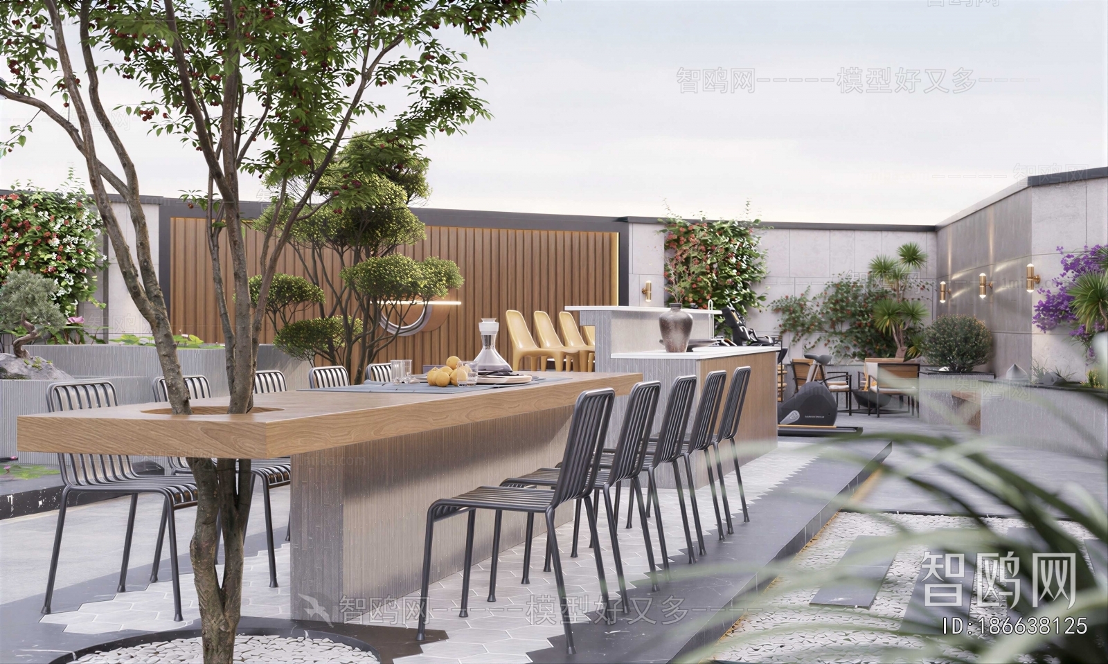 Modern Courtyard/landscape