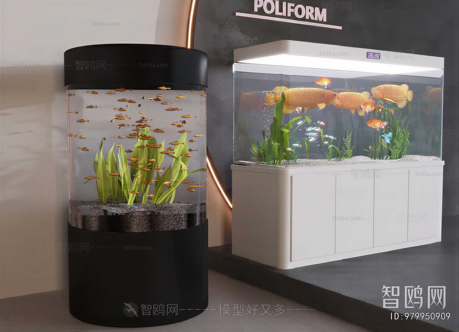 Modern Fish Tank