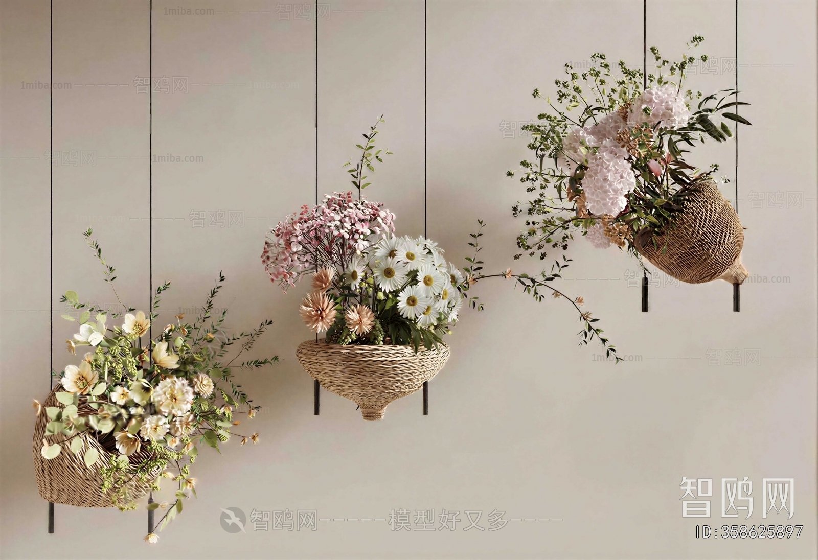 Modern Chlorophytum Comosum