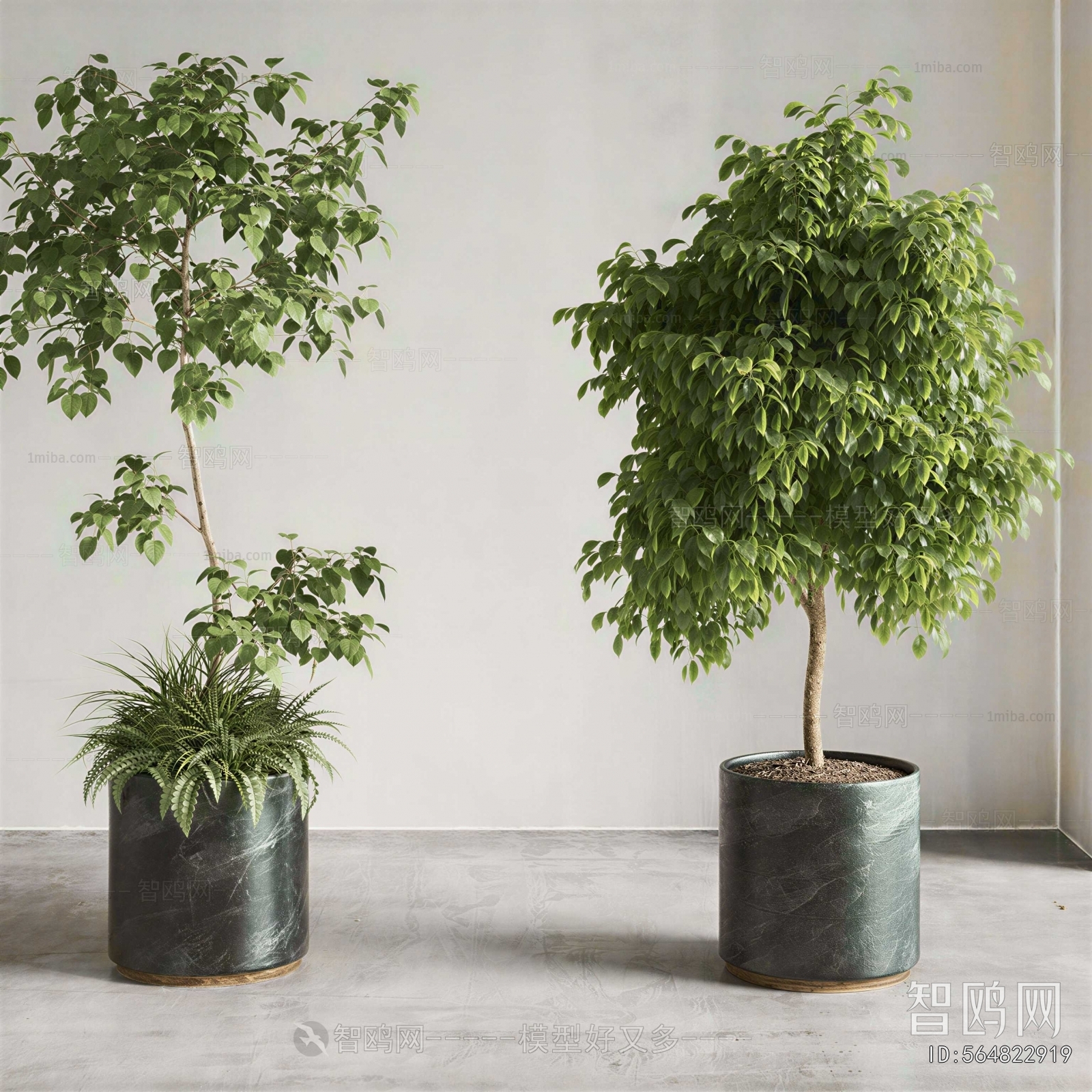 Modern Ground Green Plant Potted Plants