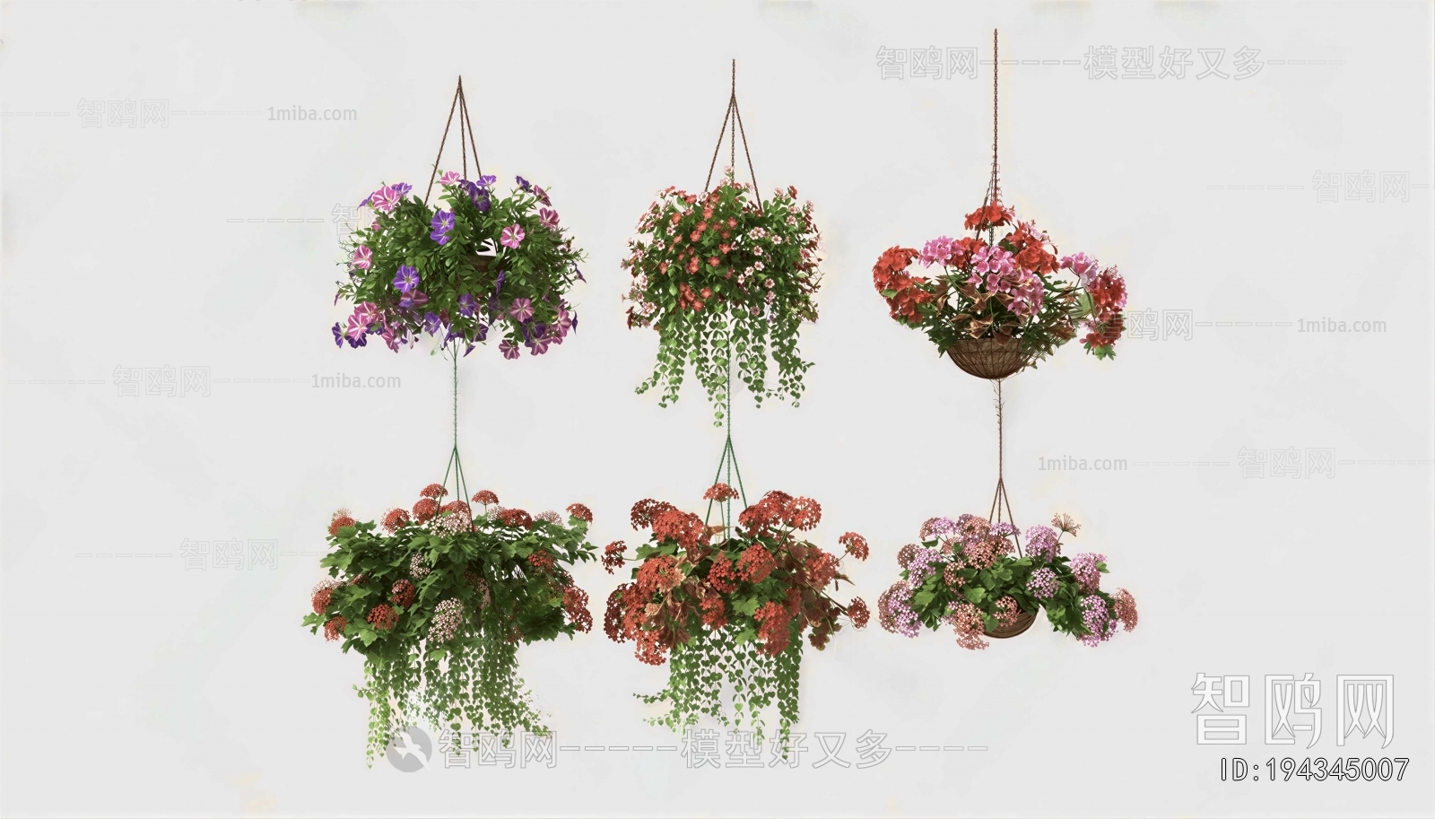 Modern Chlorophytum Comosum