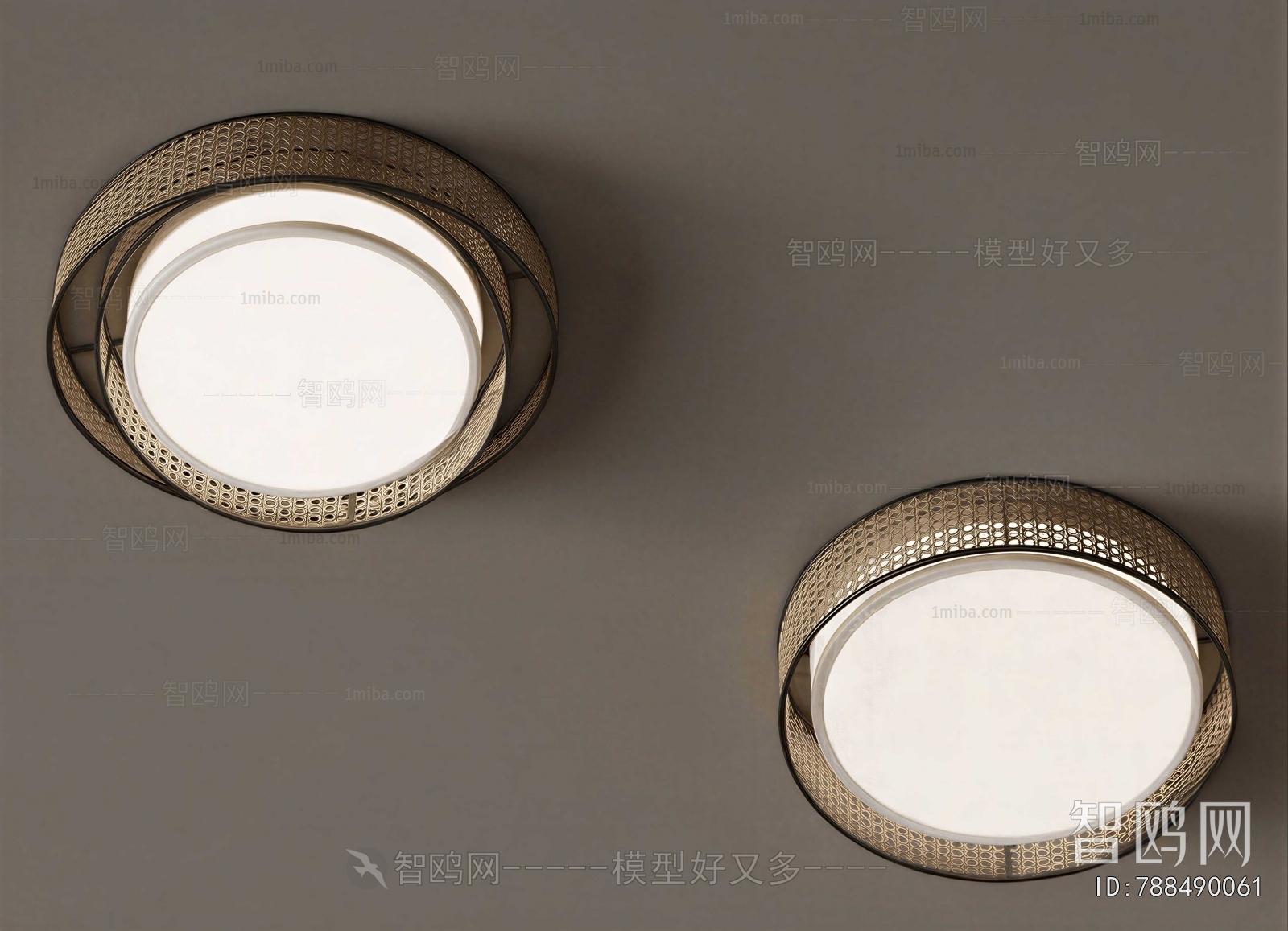 Modern Ceiling Ceiling Lamp