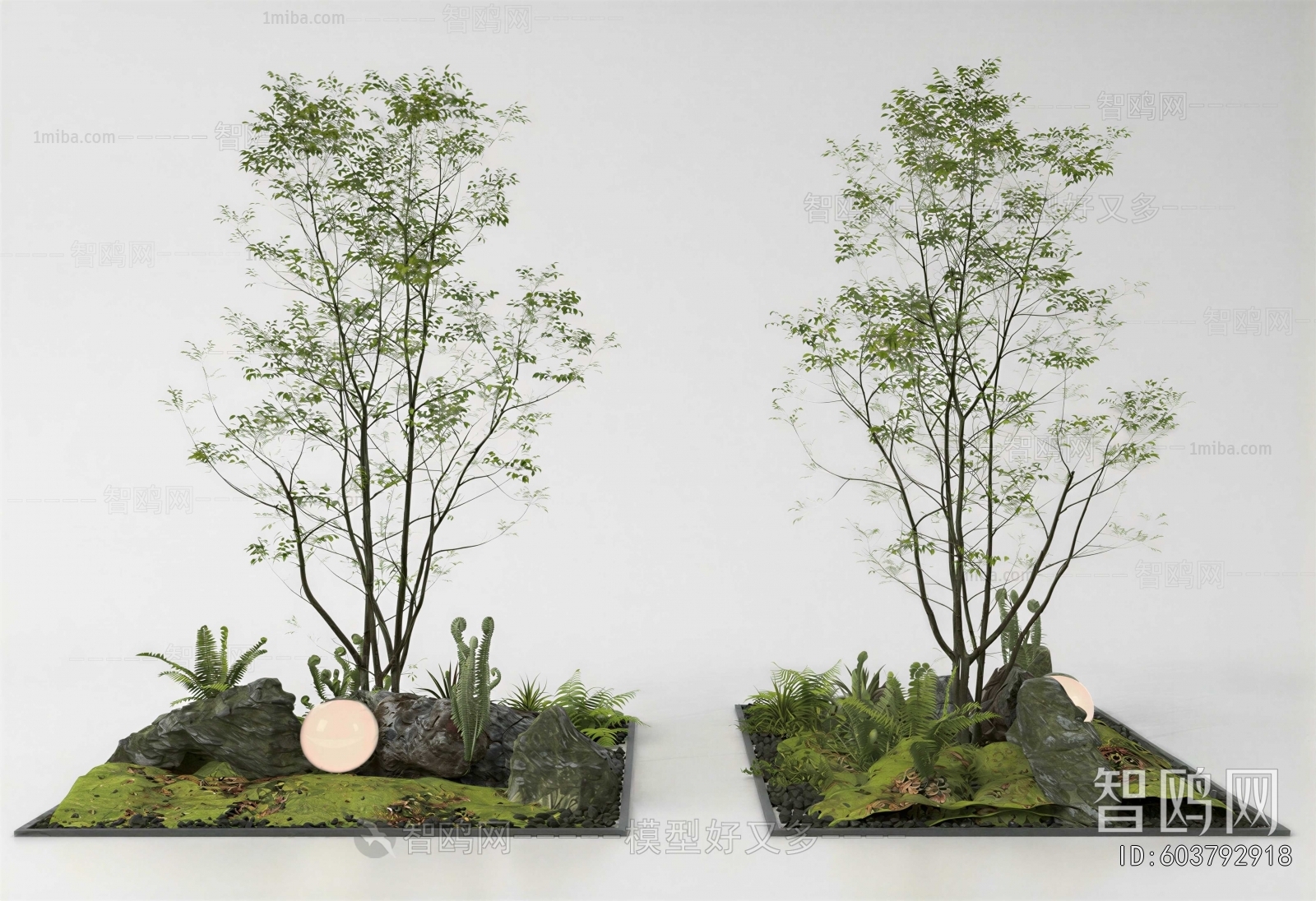 Modern Plant Landscaping