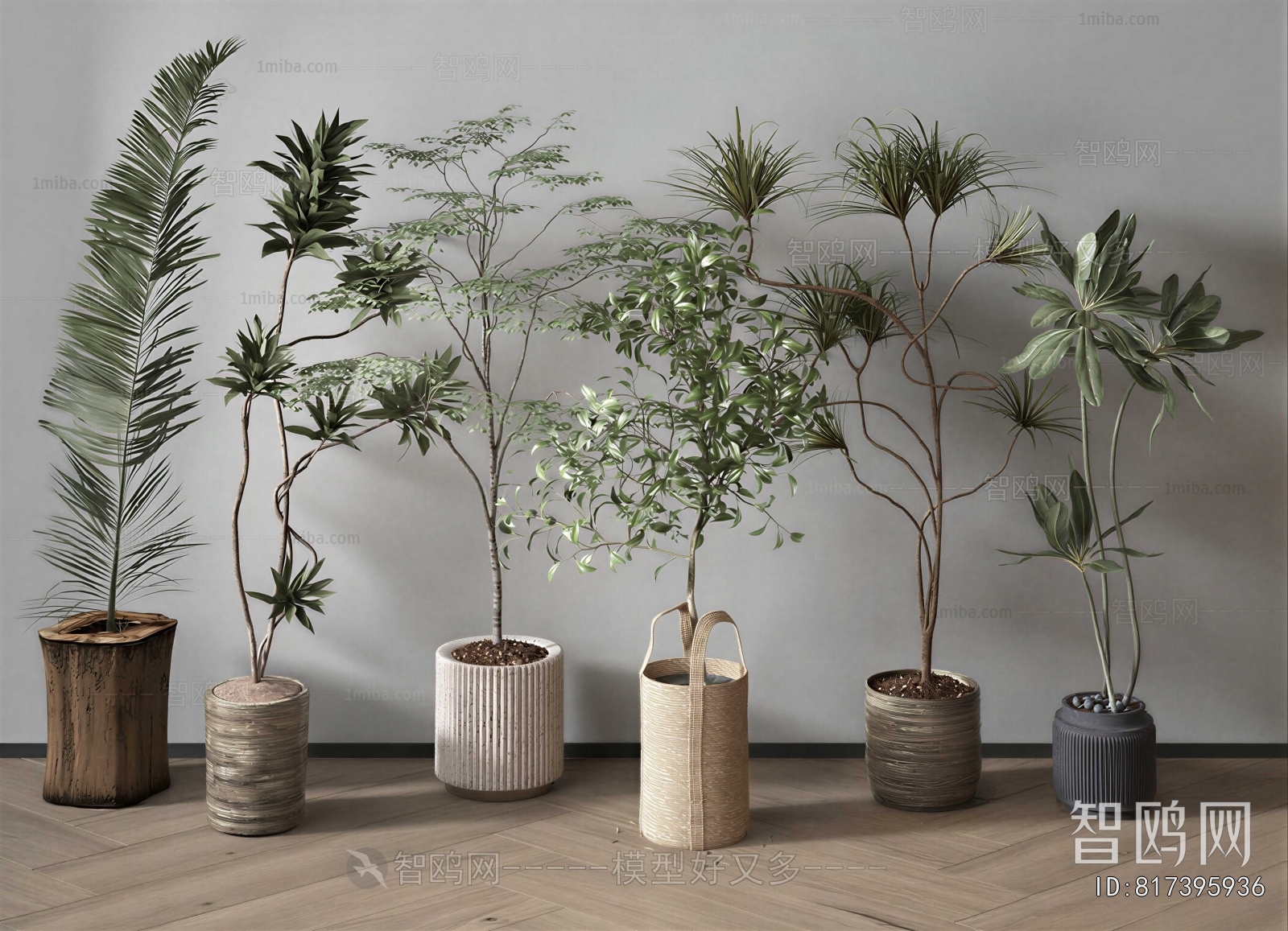 Modern Ground Green Plant Potted Plants