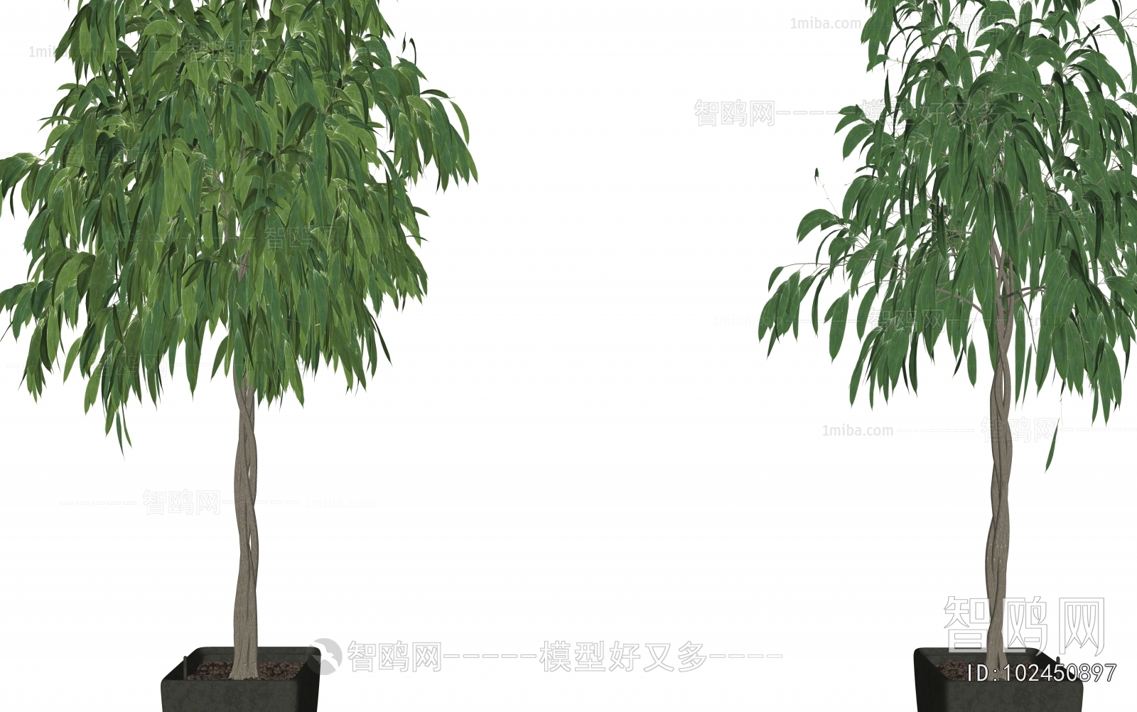 Modern Ground Green Plant Potted Plants