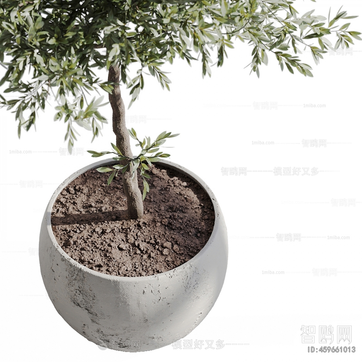 Modern Ground Green Plant Potted Plants